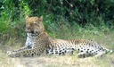SAM_0257